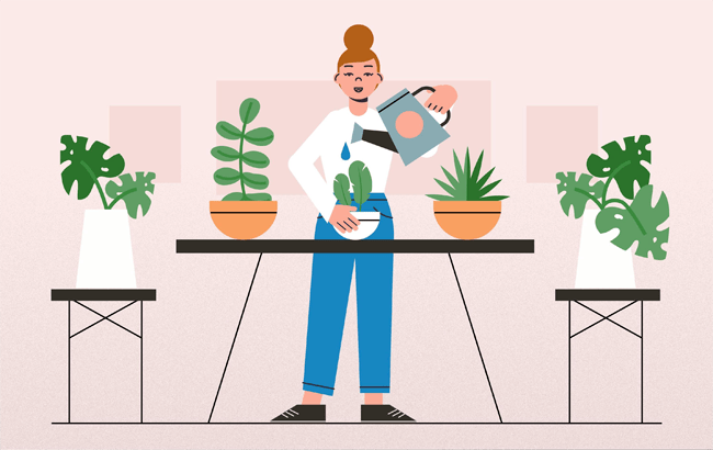 Home and Garden Care