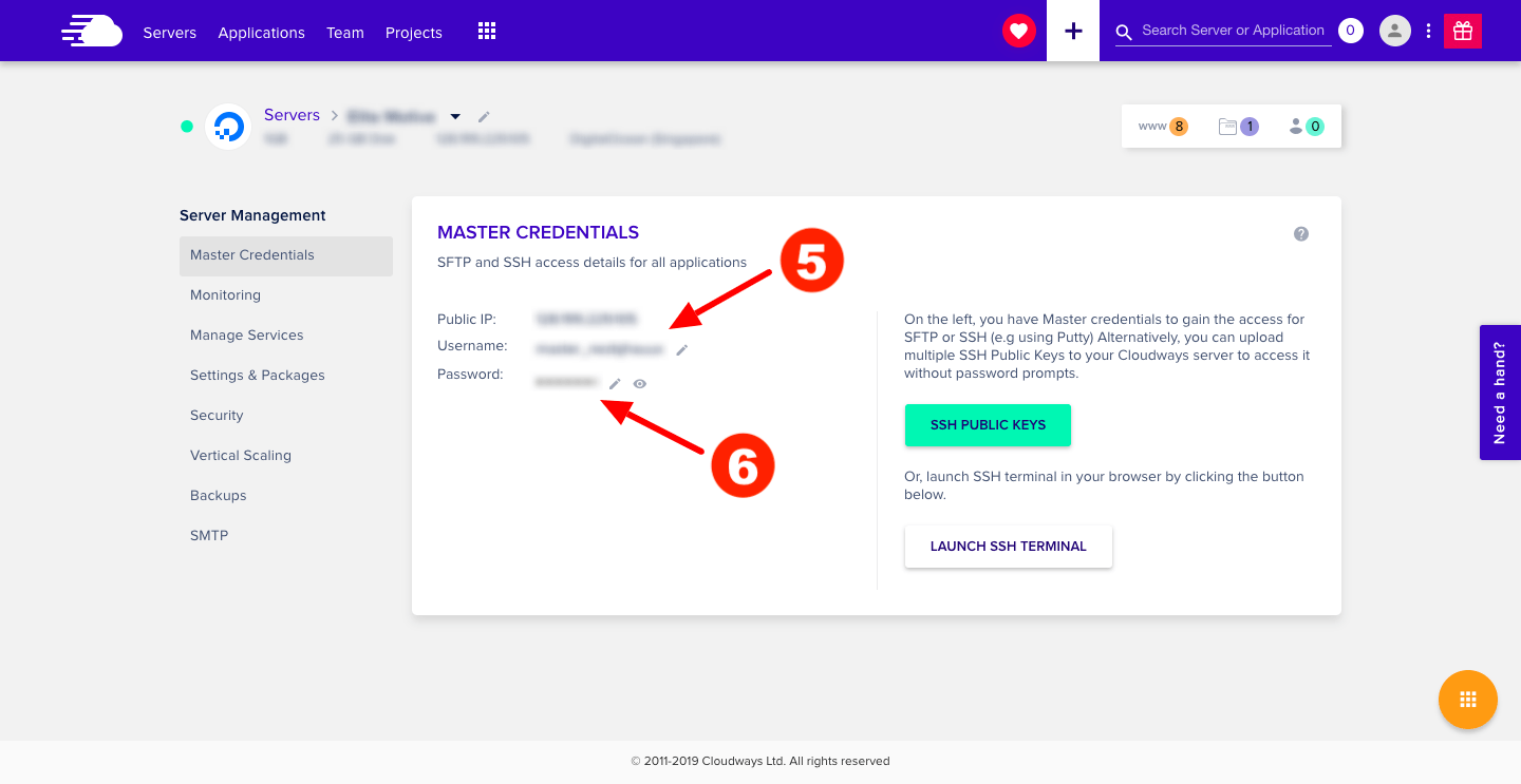 Cloudways Master Credentials