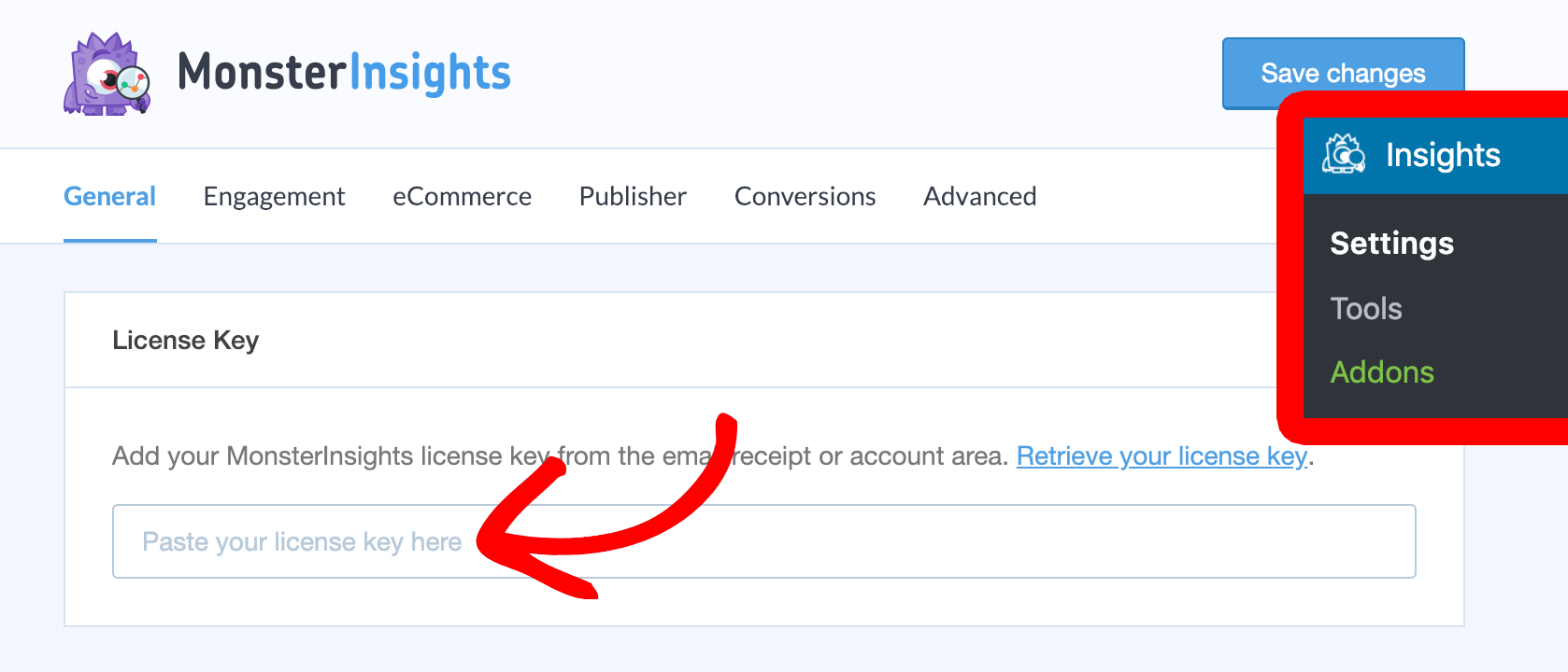 MonsterInsights License Key