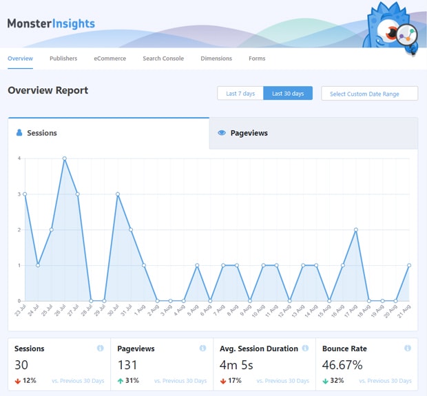 MonsterInsights Overview Report