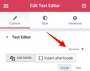 Elementor Text Editor Dynamic