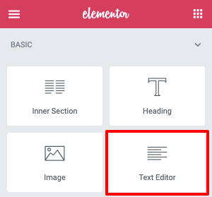 Elementor Text Editor