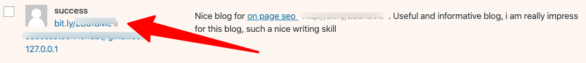 Spam Comment