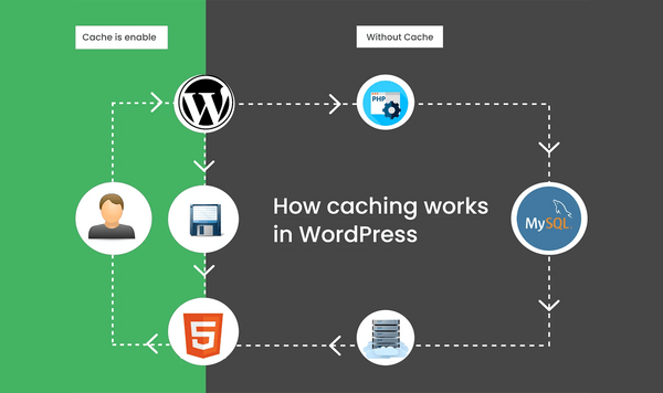 How WordPress Cache Works